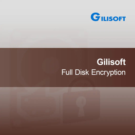 Gilisoft Full Disk Encryption