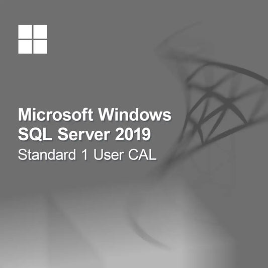 Microsoft SQL Server 2019 Standard 1 používateľská CAL licencia