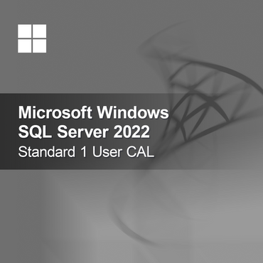 Microsoft SQL Server 2022 Standard 1 používateľská CAL