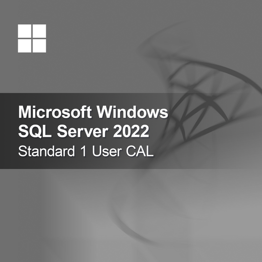 Microsoft SQL Server 2022 Standard 1 používateľská CAL