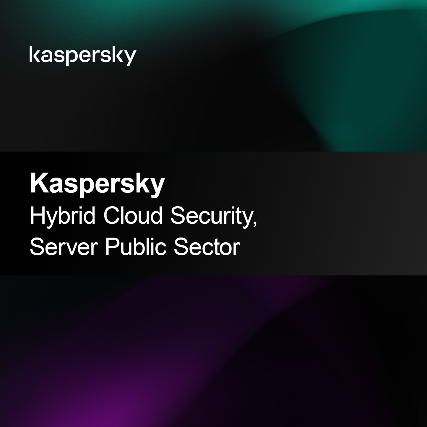 Kaspersky Hybrid Cloud Security, Server verejný sektor