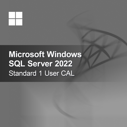 Microsoft SQL Server 2022 Standard 1 používateľská CAL