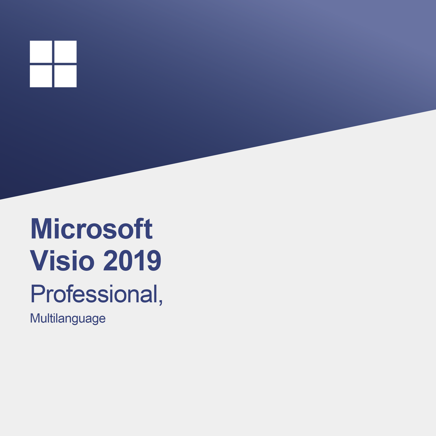 Microsoft Visio 2019 Professional, viacjazyčný